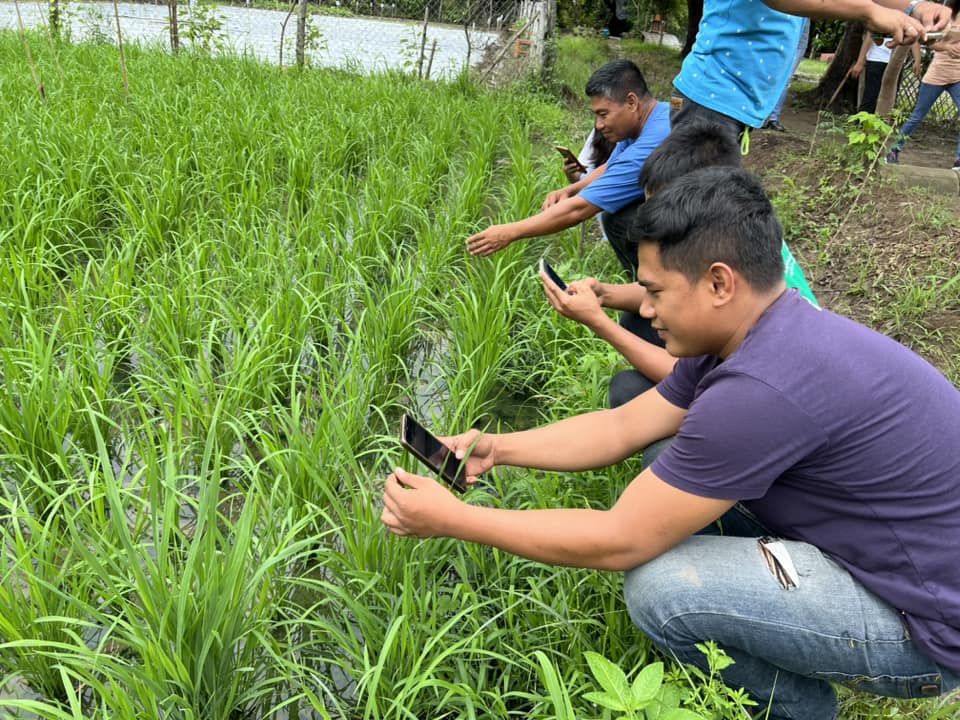 PLDT, Smart, DA-ATI continue to uplift Filipino farmers through inclusive tech  