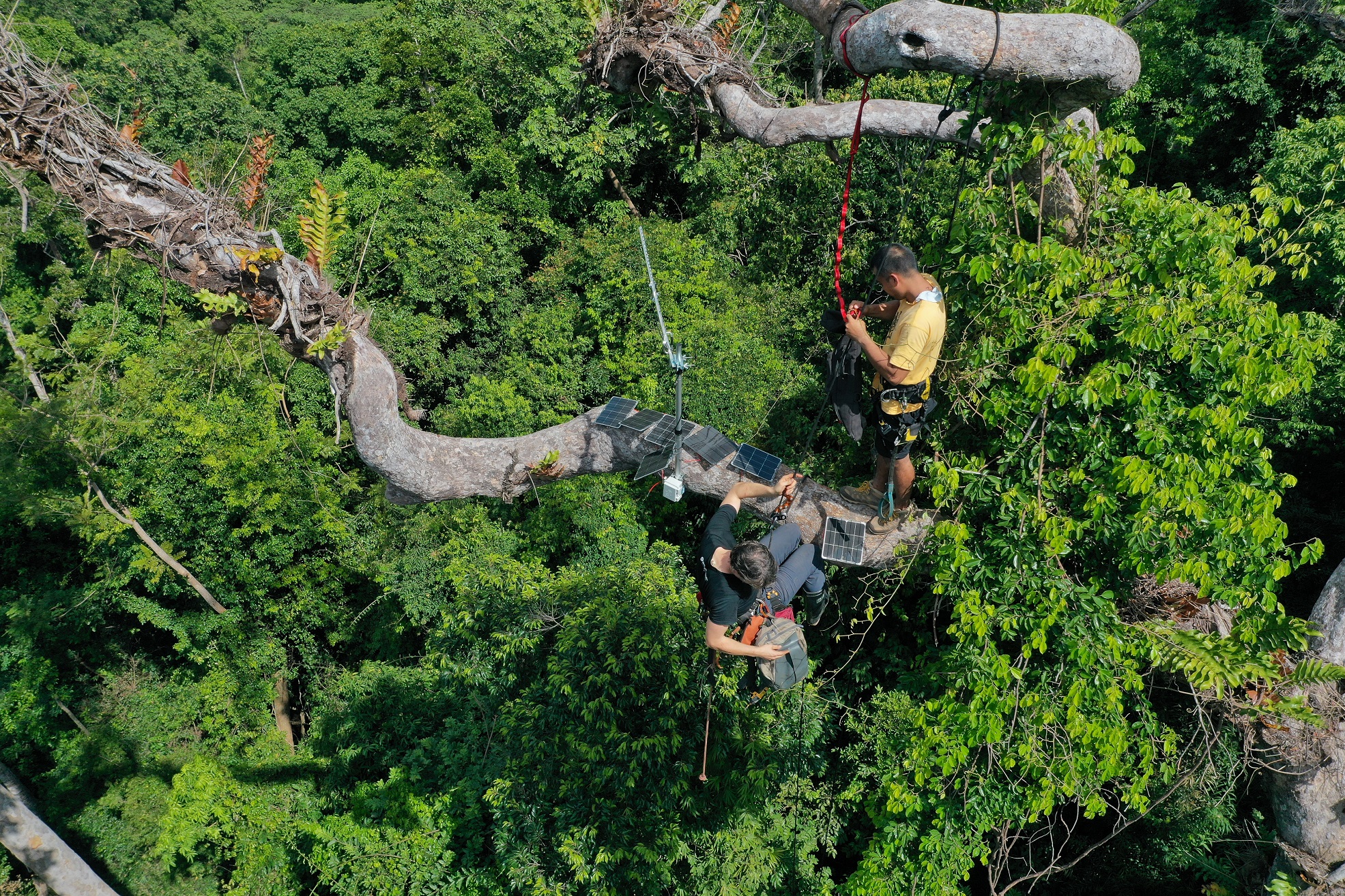 PLDT, Smart named sole Filipino winner in 2020 Sustainability Awards for global leadership 