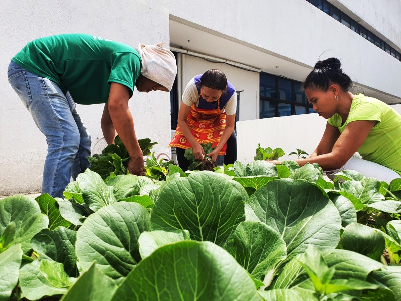 PLDT, Smart PlantSmart GrowHubs flourish in Northern Mindanao