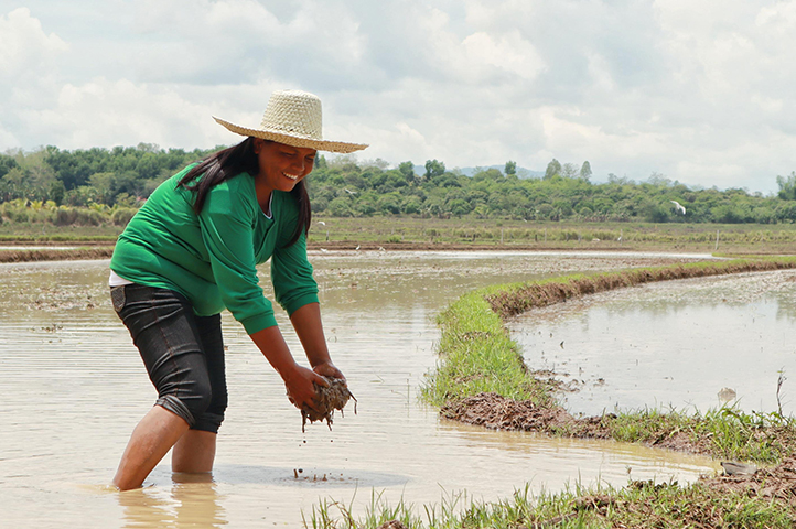 Nueva Ecija Farmers