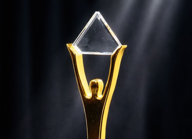 TNT Gold Stevie Award
