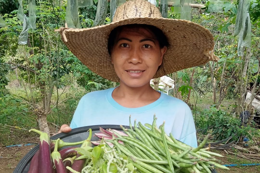 farmer vlogger 3x2