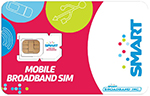 MicroSIM-edit