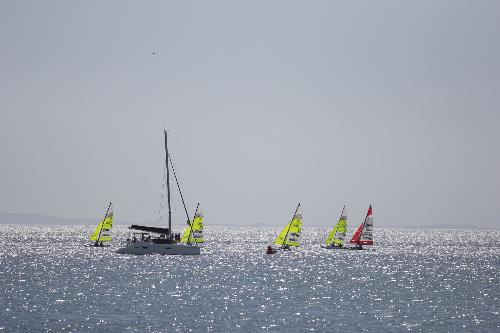 Colorful boats sail in Donsol waters as the Philippine Hobie Challenge kicks off in Sorsogon. Travel apps give boost to PH summer destinations