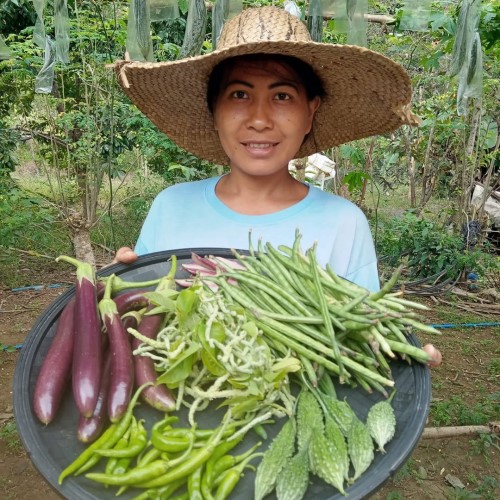 farmer vlogger 1x1 farmer vlogger 1x1