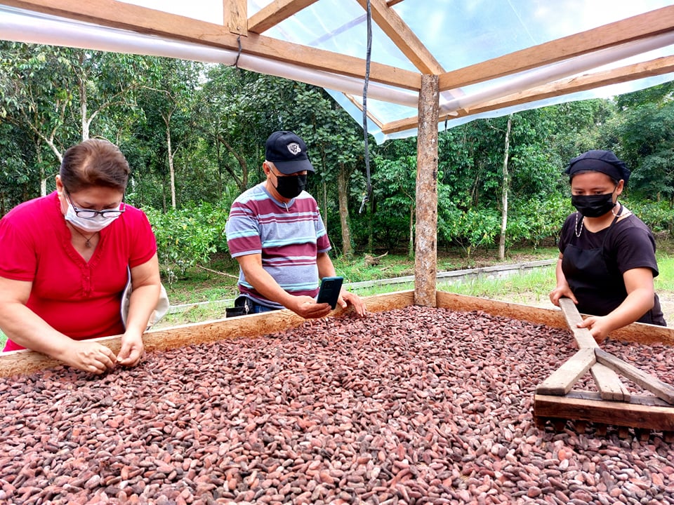 Incomes rise as farmers reach more customers through technology 