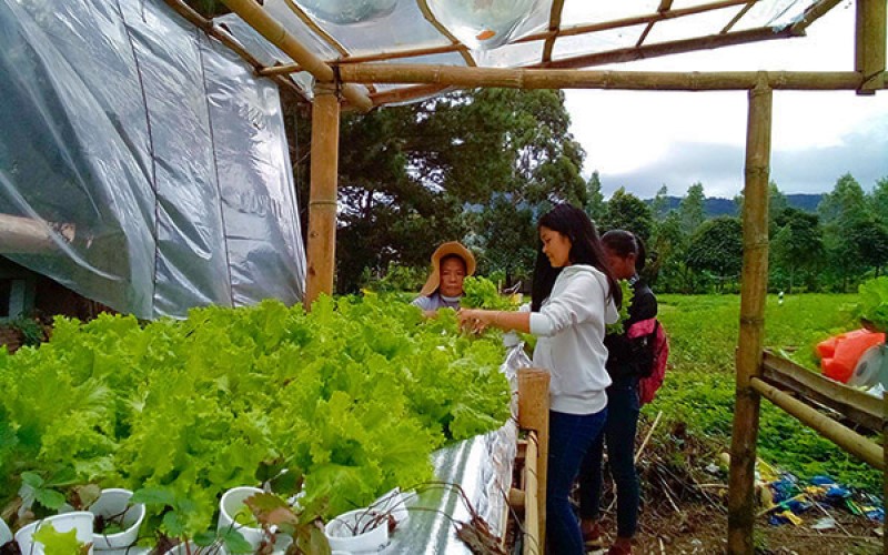 PLDT, Smart PlantSmart GrowHubs flourish in Northern Mindanao