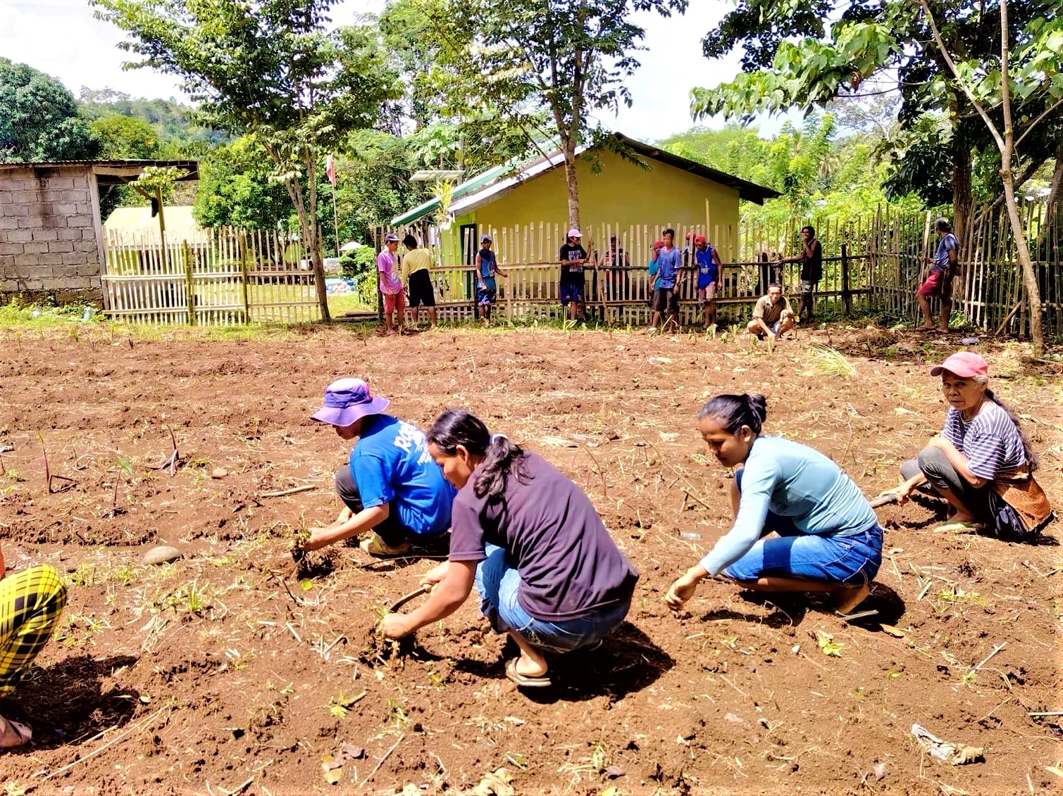 Zamboanga del Sur school harvest vegetables from PlantSmart, advancing food security among youth