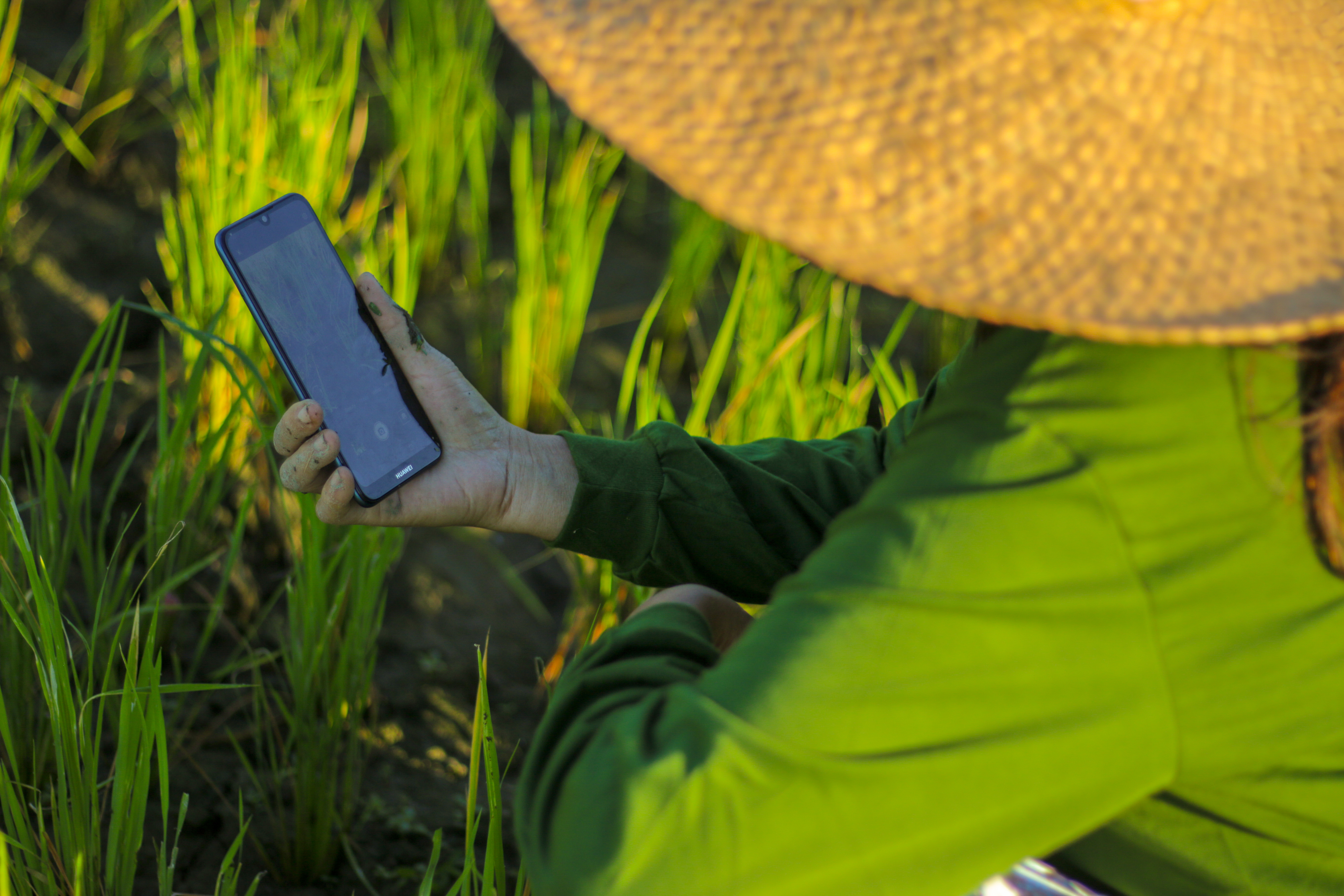 FarmSmart 03