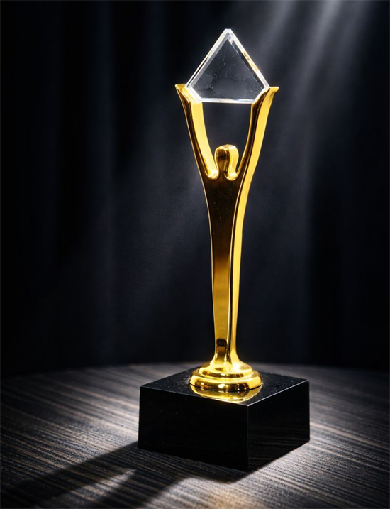 TNT Gold Stevie Award TNT Gold Stevie Award