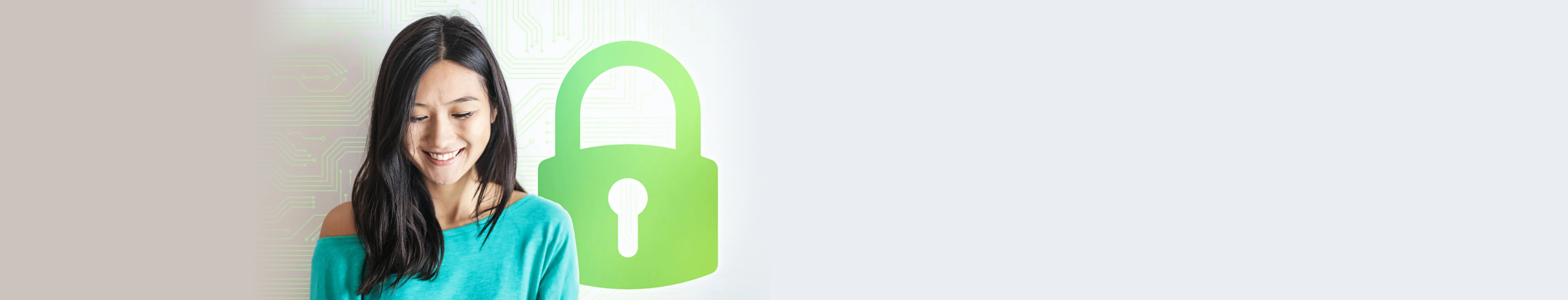 Scam Portal Banner